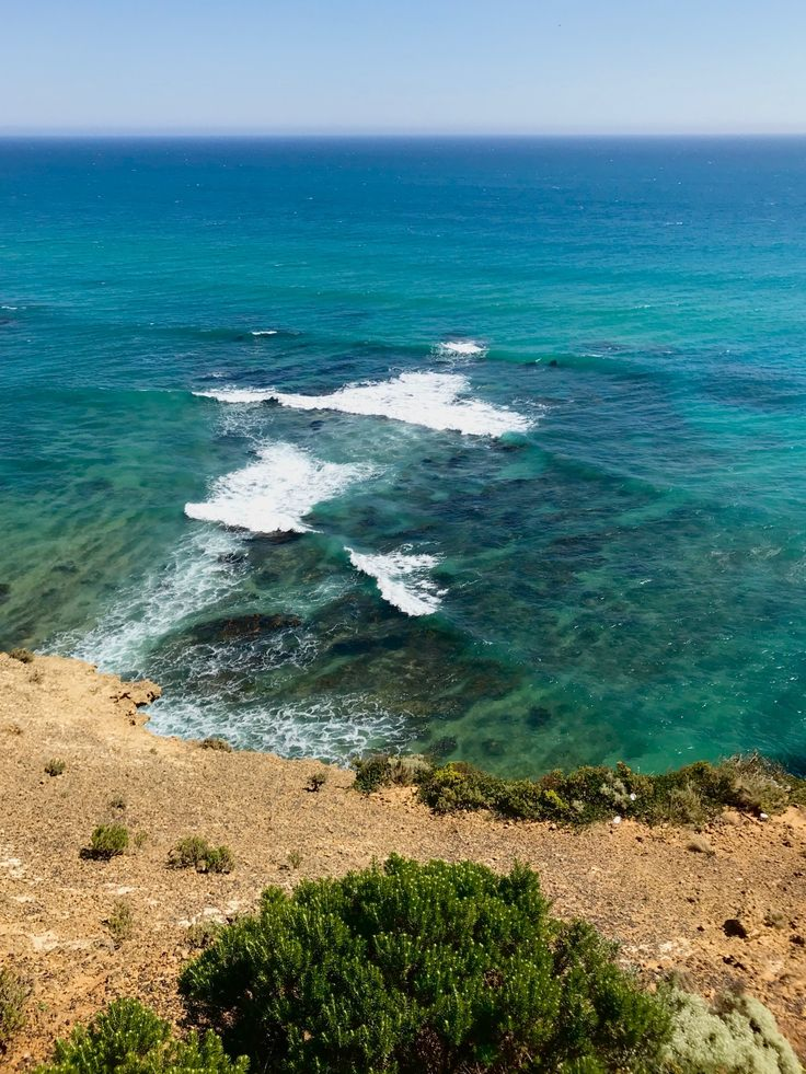 Coastal Area Survey - SisterNav ASV Gallery