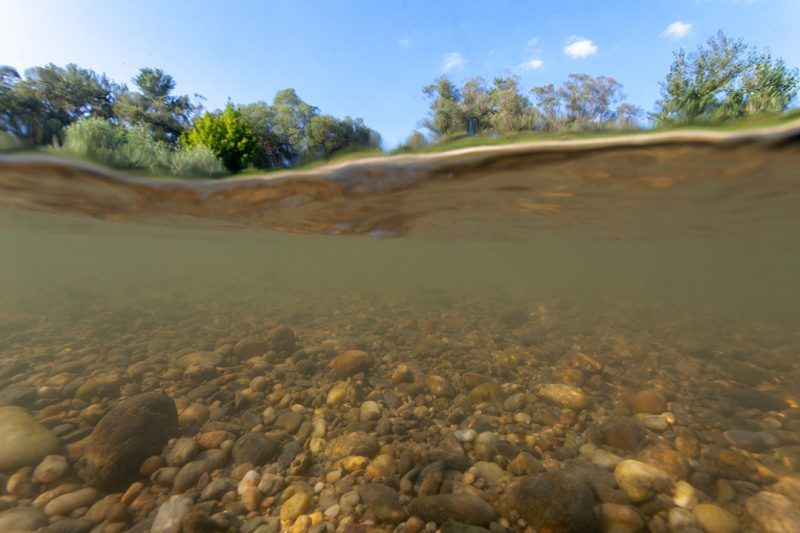 Sedimentation Monitoring - SisterNav ASV Gallery